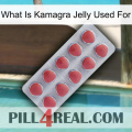 What Is Kamagra Jelly Used For 18